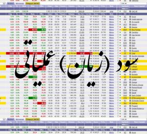 و زیان عملیاتی 300x273 - داده های سود و زیان عملیاتی شرکت های بورسی
